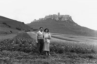 Spišský hrad, Spišské Podhradie (1961)