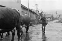 Kostol Obetovania Pána, Vyšné Ružbachy (1974)