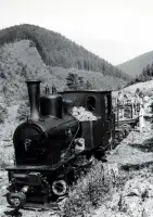 Lesná úzkokoľajná železnica, Spišská Nová Ves (1933)