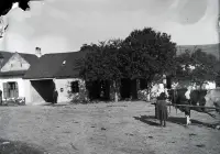 Námestie obce, Vrbovce (1920)