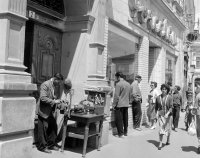 Štefánikova trieda, brusič nožov, Nitra (1960)