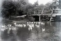 Most cez rieku Teplica, Vrbovce (1920)