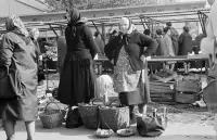 Trhovníčka s košíkom a váhou, Žilina (1972)