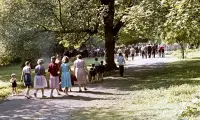 Park pri budove na Partizánskej ulici, Poltár (1961)