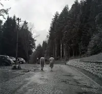 Pohľad na Slavkovský štít, Vysoké Tatry (1949)