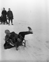 Sánkovanie v zime, Košice (1962)