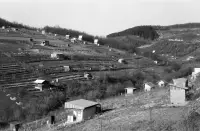 Výhľad z Kavečianskej cesty do Suchej doliny, Košice (1967)