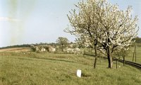 Železničná trať Lučenec - Utekáč, Breznička (1960)