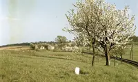 Železničná trať Lučenec - Utekáč, Breznička (1960)