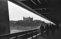 Bratislavský hrad od Mosta SNP, Bratislava (1973)