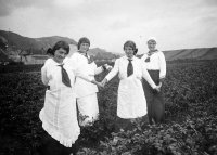 Zdravotné sestry za prvej svetovej vojny pri barakovej nemocnici, Ružomberok (1915)