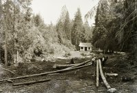 Ťažba dreva v chotári obce, Vernár (1933)