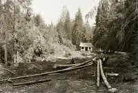 Ťažba dreva v chotári obce, Vernár (1933)