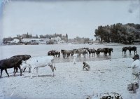 Rieka Váh, Piešťany (1914)