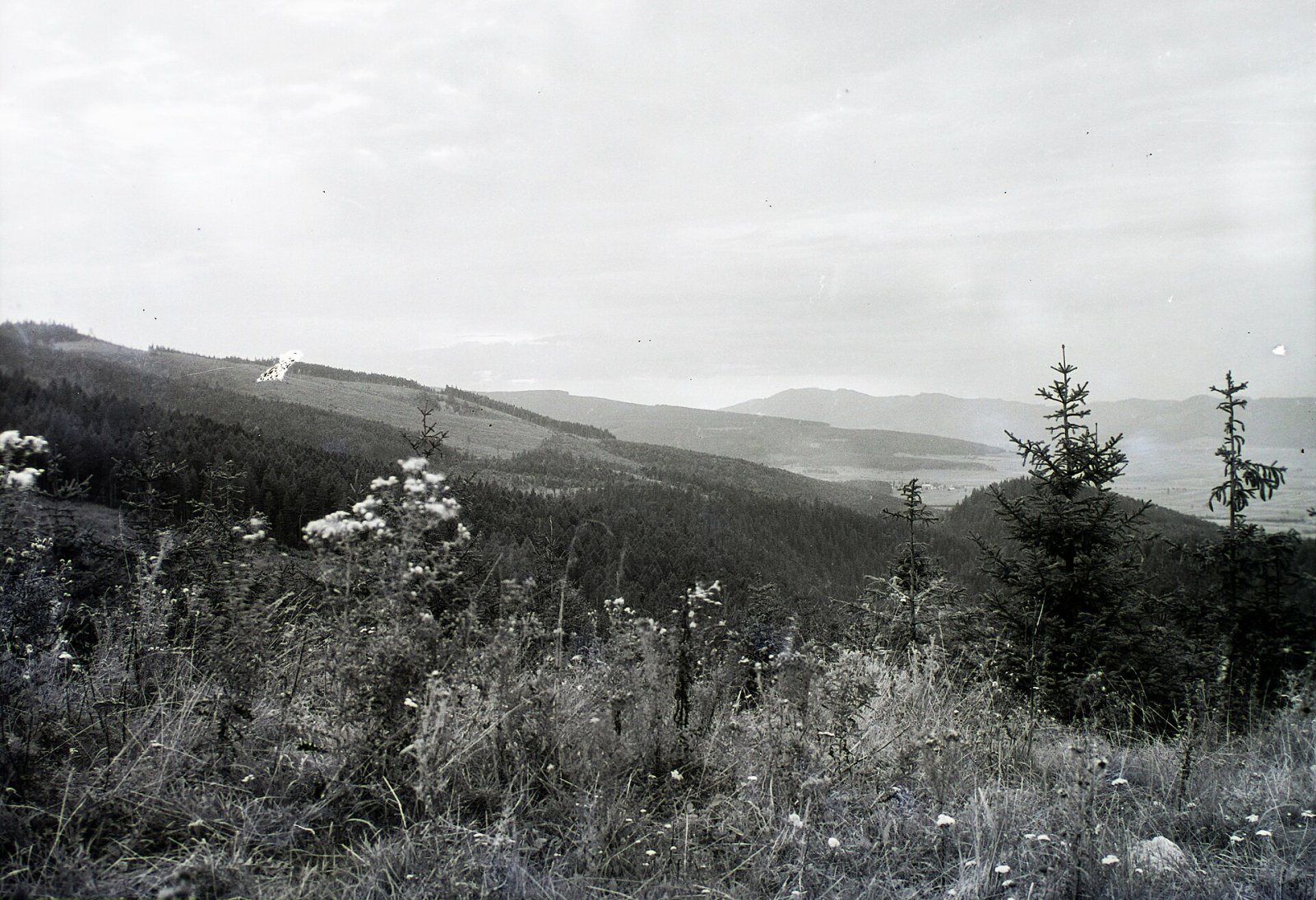Planina Kláštorisko, vpravo Kozie kamene, Dedinky (1929)
