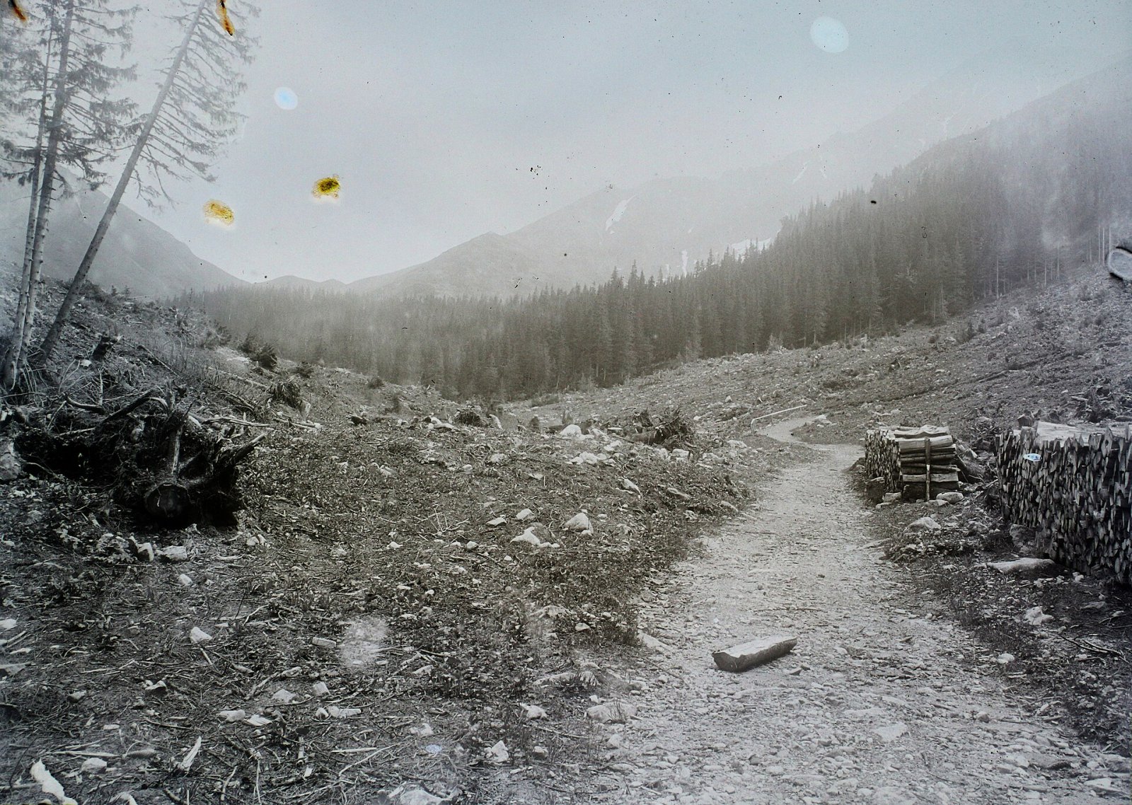 Pohľad zo Javorovej doliny smerom ku Kopskému sedlu, Vysoké Tatry (1913)