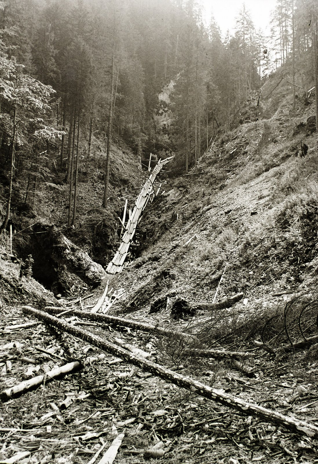 Roklina Veľký Sokol, Dedinky (1934)