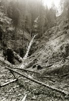 Roklina Veľký Sokol, Dedinky (1934)