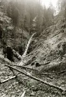 Roklina Veľký Sokol, Dedinky (1934)