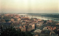 Pohľad z hradu, v popredí Rybné námestie a synagóga, Bratislava (1958)