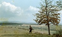 Pohľad na mesto z juhovýchodu, Poltár (1958)