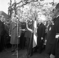 Príchod maďarských vojsk v novembri 1938, rozhlasový prenos osláv, Hurbanovo (1938)
