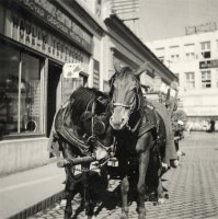 Ulica M. R. Štefánika smerom k Turreckej ulici, Nové Zámky (1941)