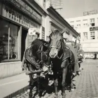 Ulica M. R. Štefánika smerom k Turreckej ulici, Nové Zámky (1941)